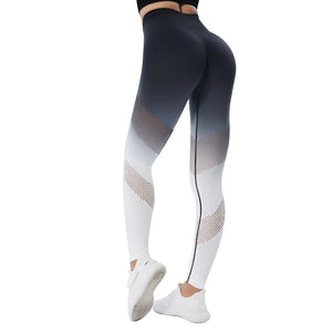 Capshee_Elara Gradient Seamless Leggings
