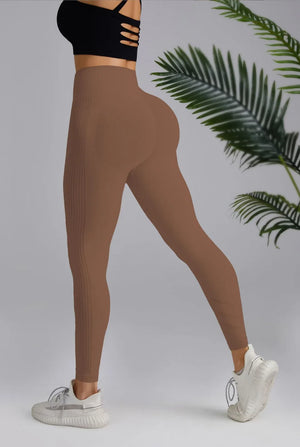 Capshee_Velora High-Waist Yoga Leggings