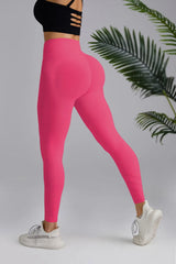 Capshee_Isolde High-Waist Sculpt Leggings