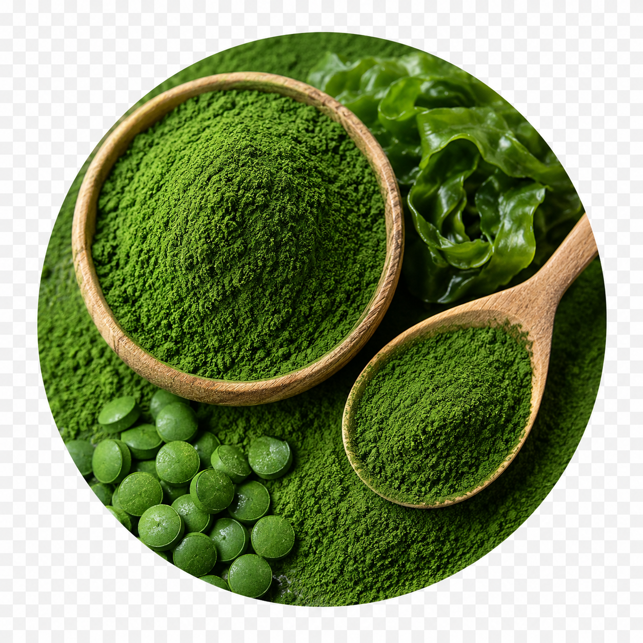 Chlorella